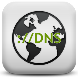 Simple DNSCrypt(dns加密软件) v0.7.1 免费版 简体中文免费