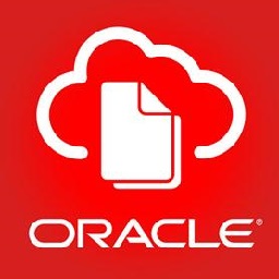 oracle9i客户端简易安装包 v2.0 中文安装版 简体中文免费