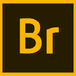 Adobe Bridge 2020 汉化版 免费版 简体中文免费